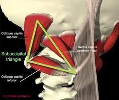 Cervicogenic Headache