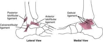 Chronic Ankle Instability