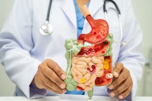 The Kinetic Life Blog 25 Massage Therapy Can Help improve Gut Health